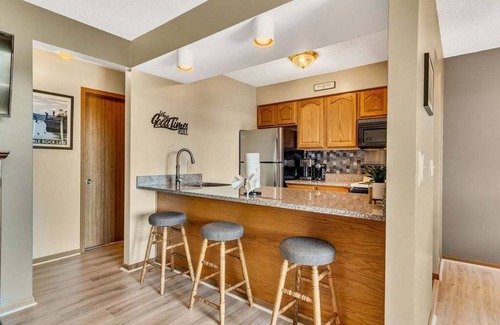 Indian Point Condo | Labor Day Open! Newly Updated Condo! Lake View! Spacious!