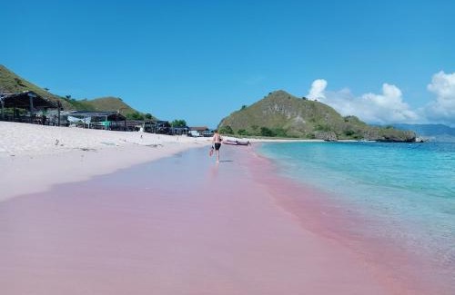 Labuan Bajo Boat Rental | Labuan Bajo Boat Charter