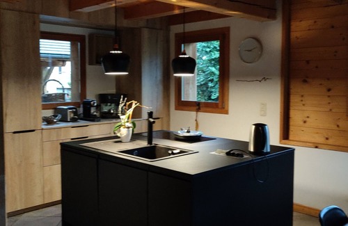 Faverges-Seythenex Ski Chalet | LAC ANNECY-chalet - Plein sud- Swimming pool