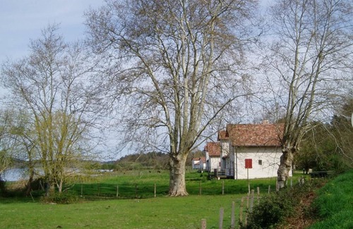 Orx House | Lacoste 1 - ORX - Gîte