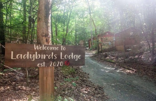Murphy Cabin | Ladybird's Lodge - dog friendly