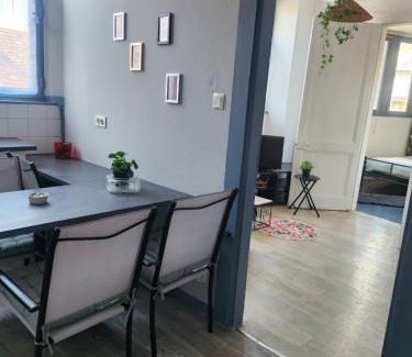 Besancon Old Town Apartment | Laelia place Rivotte