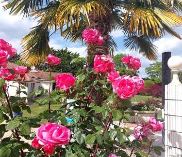 Neuville-de-Poitou House | Lagalerne