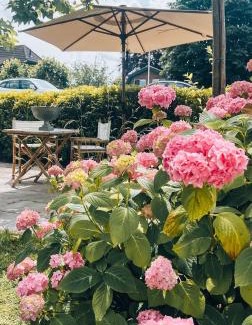 Municipality of De Ronde Venen House | Lago di Vinkeveen Suites