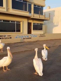 Walvis Bay Apartment | Lagoon View Self Catering