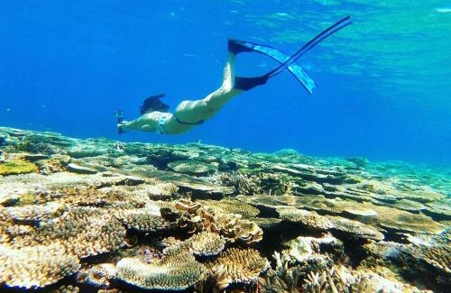 Aka House | Lagoon315