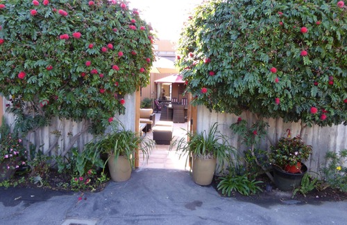 Laguna Beach House | Laguna Beach Gem with Amazing View
