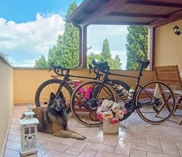 Lajatico Apartment | Lajatico Rentals - Terrazza sul Tramonto del Silenzio