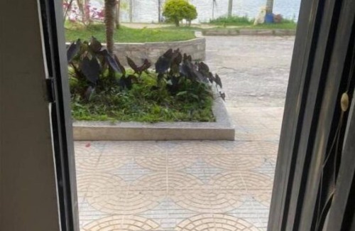 Guatape Apartment | Lake By Hope View