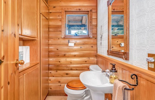 Coulterville Cabin | Lake Cabin with cuddling cats