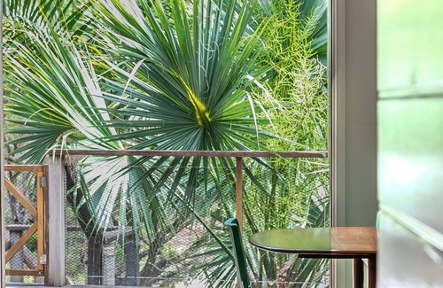 Wooloweyah House | Lake front home bordering Yuraygir Coastal Walk and Angourie Surfing Reserve