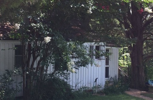 Andersonville House | Lake House #1 - Sounds of Summer - Norris Lake