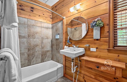 Lake Lure Cottage | Lake Lure cottage with pontoon boat!