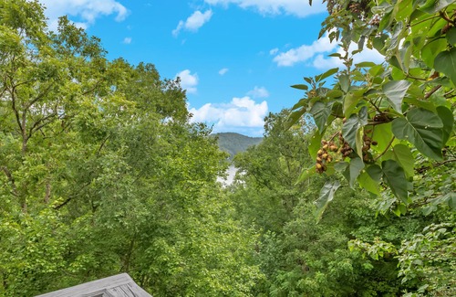 Almond House | Lake View of Fontana Lake close to Great Smoky Mountains and Tail of the Dragon