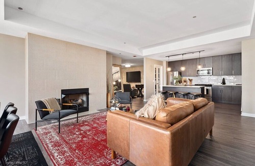 Rush and Division Apartment | Lake View Penthouse: Top Amenities, Unit Laundry