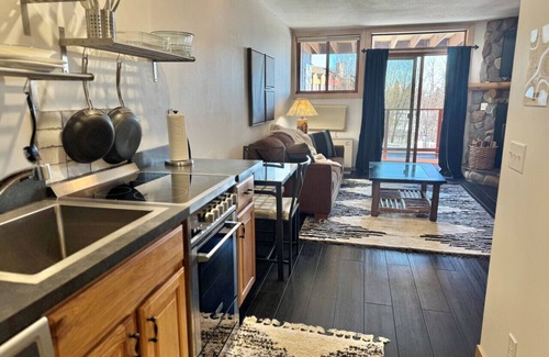 Lutsen Apartment | Lake View Ski-in/out Lutsen Mtn Pets Welcome