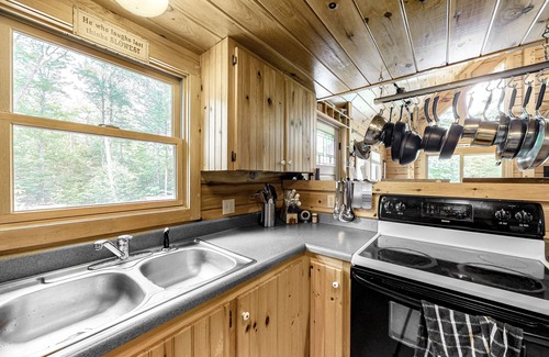 Greenville Cabin | Lakefront cabin on First Roach Pond with dock, lake view & firepit- dog-friendly