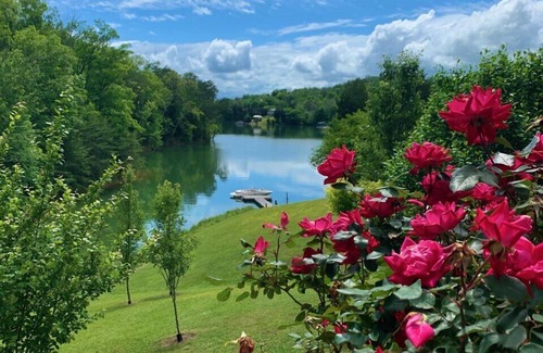 Dandridge Cabin | LakeFront Cabin Private Dock ez access nr Smoky Mtn Aug/Sep/LaborDay dates avail
