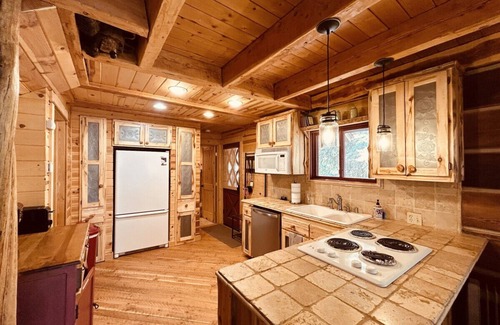 Island Park House | Lakefront cabin with private dock and fire pit - Hidden Bear Cabin