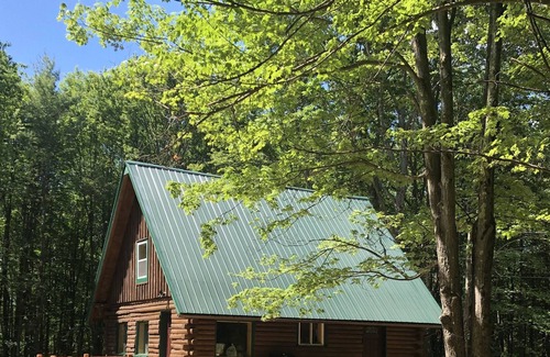 West Oneonta Cabin | Lakefront Catskills Log Home Our Own Private Lake Fireplace, Boats, Hot Tub!