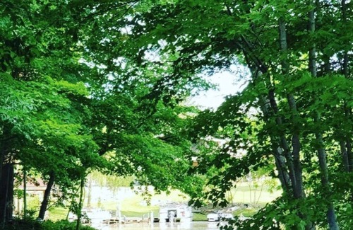 Frontier House | Lakefront Cottage in a rare serene setting for nature lovers on all sports lake.