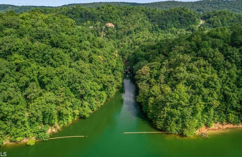 Tazewell House | Lakefront log home with private dock and cove