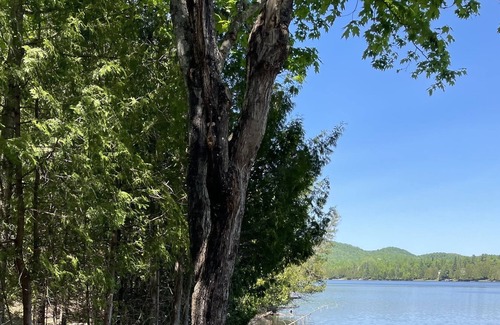 Wentworth-Nord Cottage | Lakefront resort with Jacuzzi, Gazebos, garages, cabins, Treehouse, Ponton