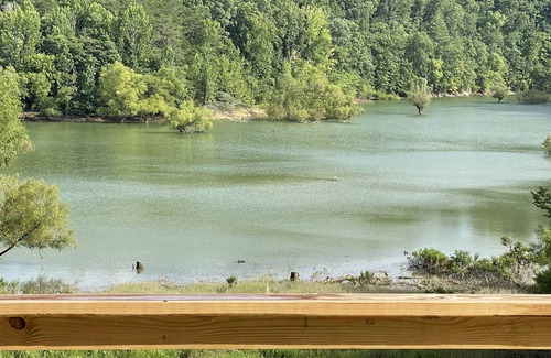 Sevierville House | Lakeside Cabin: Gated Comm/Pool Access/Private B-Ball Court/Fire Pit/Easy Access