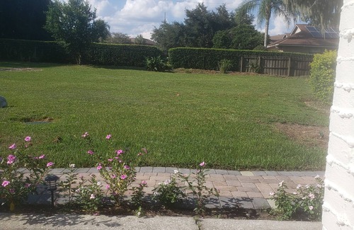 Mount Dora House | Lakeside Hideaway! 1 mile from Historic Downtown Mount Dora - (3 night maximum)