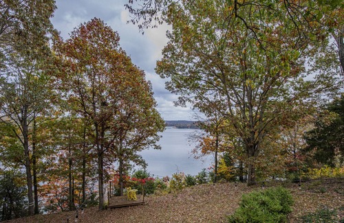 Springdale Cabin | LakeView on Raymond