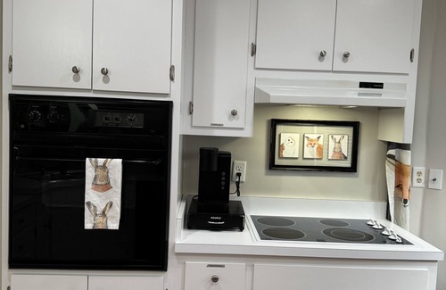 Thomasville House | Lakeview Privacy in the Heart of Thomasville