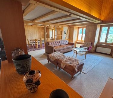 Niederried bei Interlaken Ski Chalet | Lakeview Swiss Chalet with Hot Tub near Interlaken