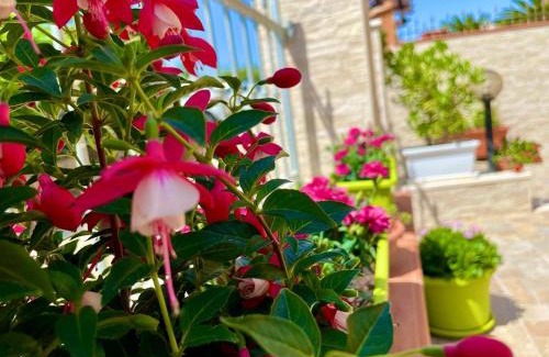 Sorso Bed & Breakfast | Lalu's B&B