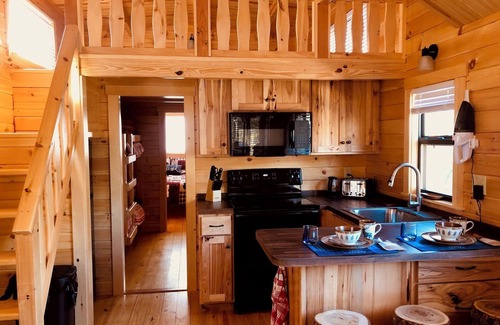 Spring City Cabin | Lancaster Tiny-House in the Woods with Private Finnish Sauna at Watts Bar Lake!