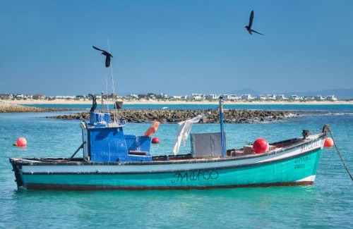 Struisbaai Apartment | Land's Edge Eco Friendly Cottages and Apartments