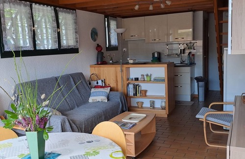 Biscarrosse Villa | Landes-Biscarrosse, lovely villa, all comfort et mature garden close to a lake