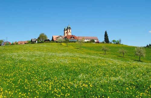 Sankt Maergen Apartment | Landhaus-Apartment Feldbergblick