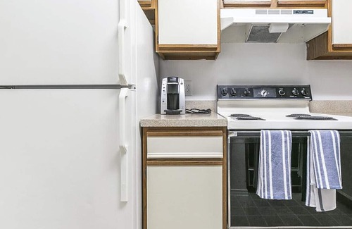Woodlawn Apartment | Landing at Commons - 1 Bedroom in Woodlawn