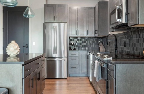 St. Louis Apartment | Landing at Expo at Forest Park - 1 Bedroom in Skinker De Baliviere