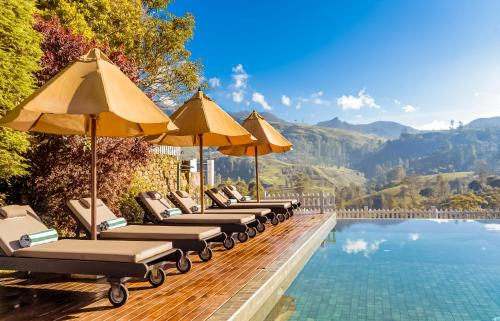 Nuwara Eliya House | Langdale Boutique Hotel by Amaya