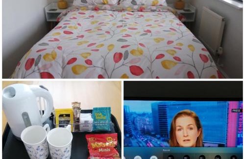 Bodmin House | Lanhydrock View