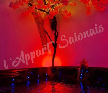 Salon-de-Provence Apartment | Lappart-salonais 70m2 avec jacuzzi privatif