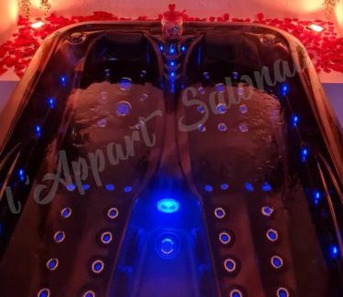 Salon-de-Provence Apartment | Lappart-salonais 70m2 avec jacuzzi privatif