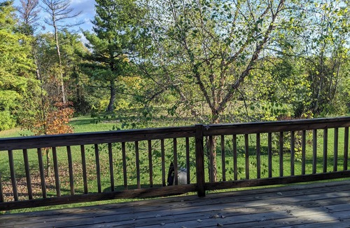 Addison Apartment | Large 1-Bdrm+ Apartment Surrounded by Nature in Rural Vermont