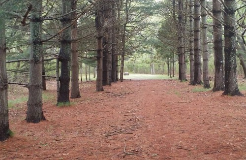 Water Mill Apartment | Large 1 bedroom apt on 9 acre estate property