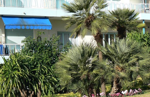 Lazaret Apartment | Large 2 rooms, port of Nice