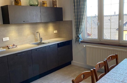 Itterswiller House | Large apartment Gite with terrace