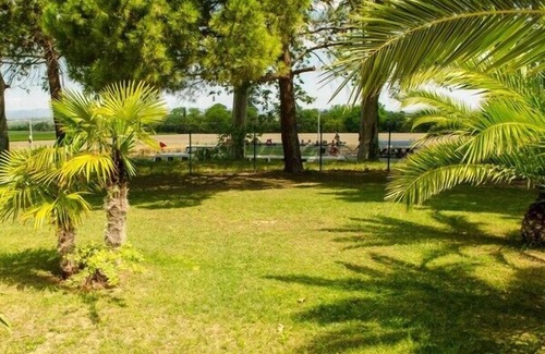 Beziers Apartment | Large apartment with terrace in character property