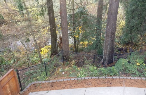 Beaverton House | Large Beautiful Home for Groups + Families + Relaxing Near Intel/Nike