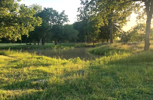 Waco RV Rental | Large Campsite w/6-person Tent on Peaceful Mini-Farm F3